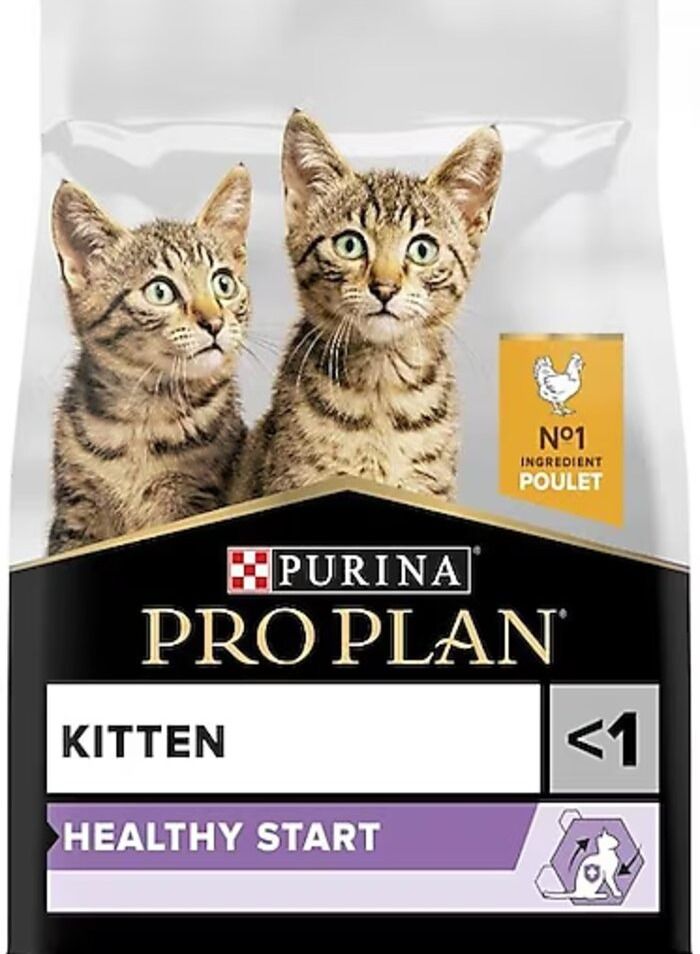 proplan kitten dry food 10kg