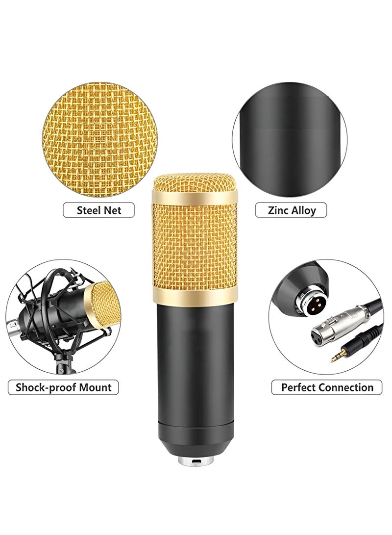 Professional Suspension Microphone Kit Bm800 Studio Live Stream Broadcasting Recording Condenser Microphone Set Vocal Microphones