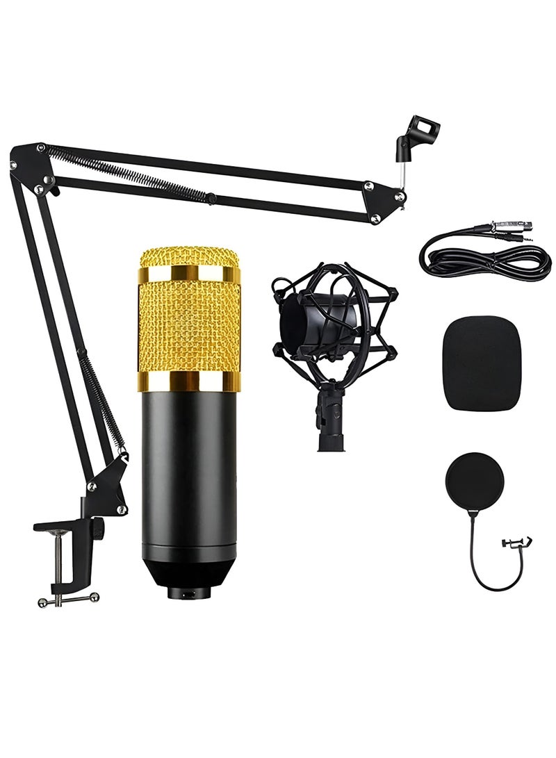 Professional Suspension Microphone Kit Bm800 Studio Live Stream Broadcasting Recording Condenser Microphone Set Vocal Microphones