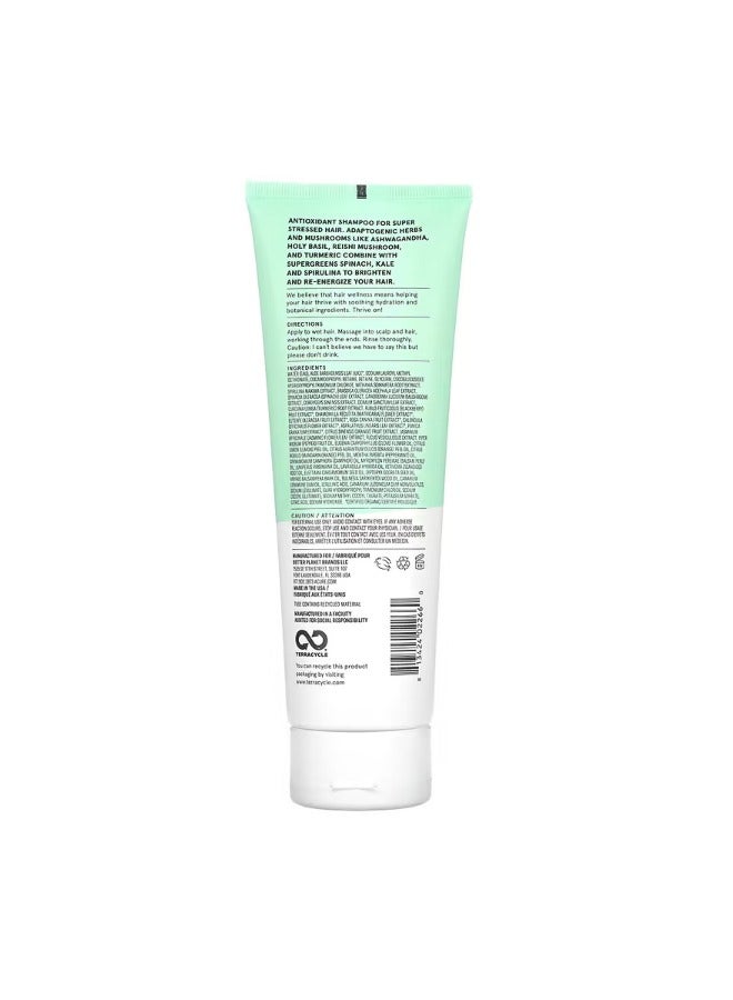 Juice Cleanse Supergreens  Adaptogens Shampoo 8 fl oz 236 ml