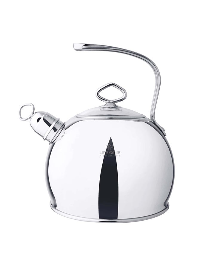 Stainless Steel Whistling Kettle Silver