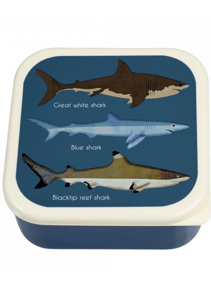 Wild Wonders Lunch Box With Tray