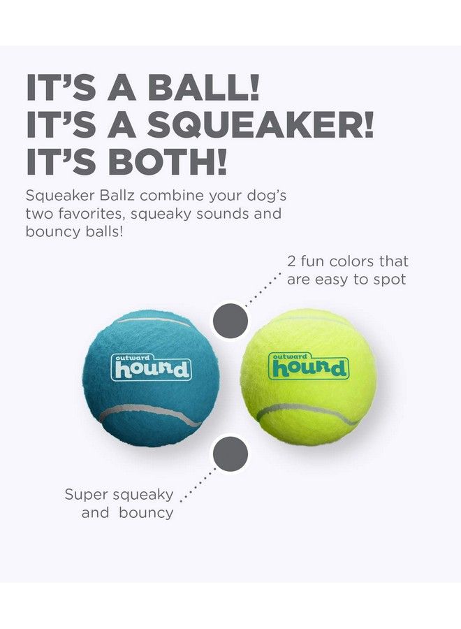 Squeaker Ballz Fetch Dog Toy Large 2 Pack