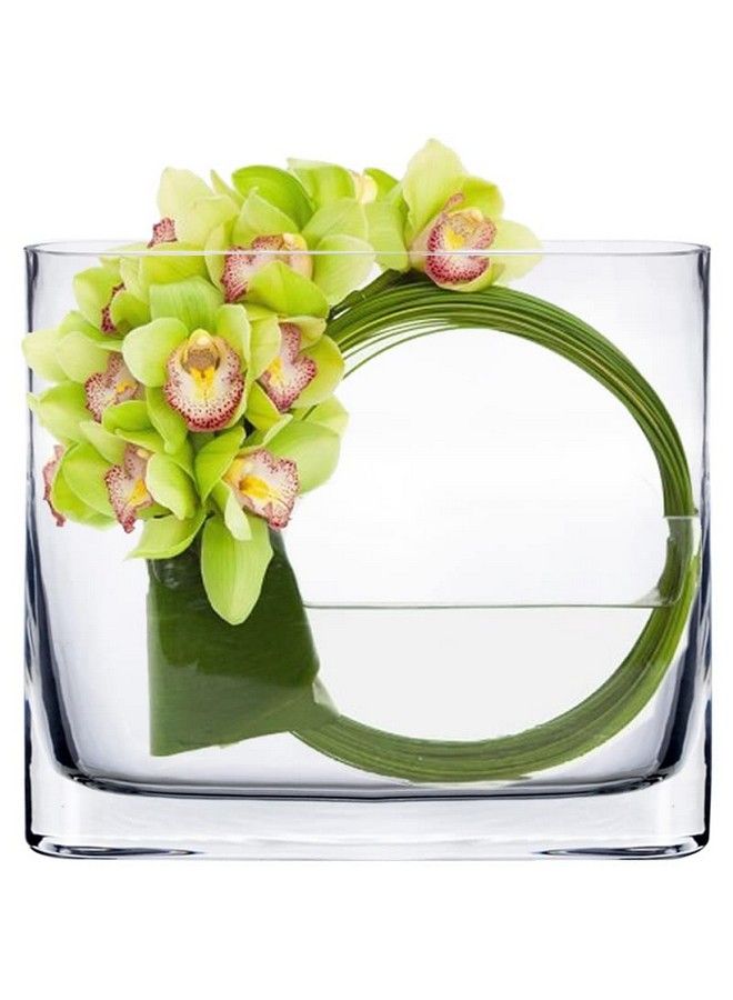 Glass Book Vase (H:6