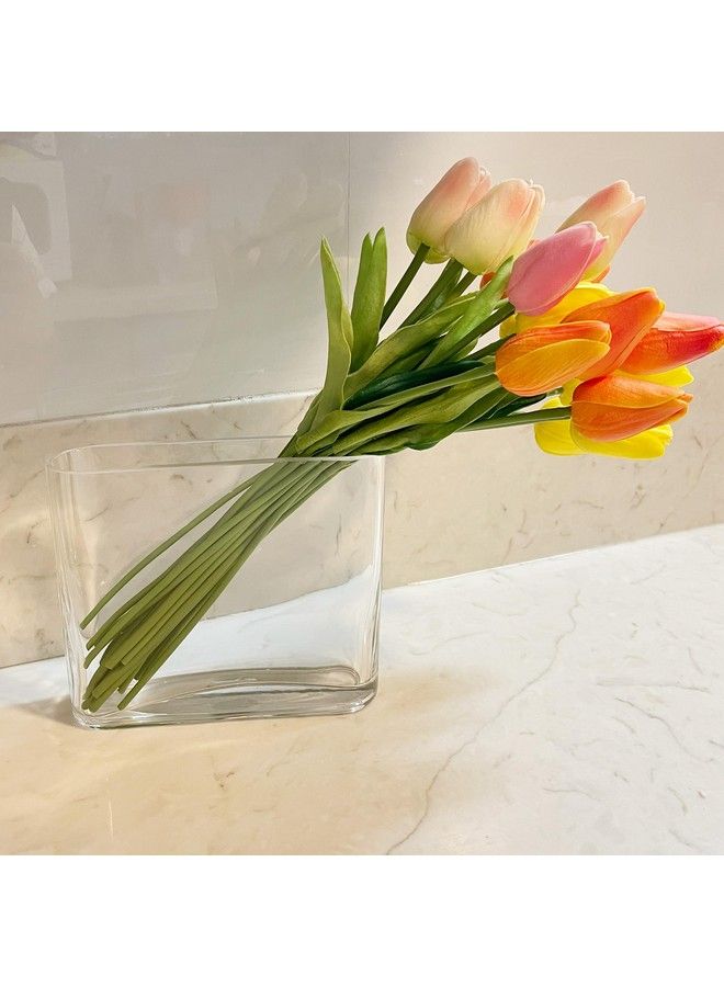 Glass Book Vase (H:6