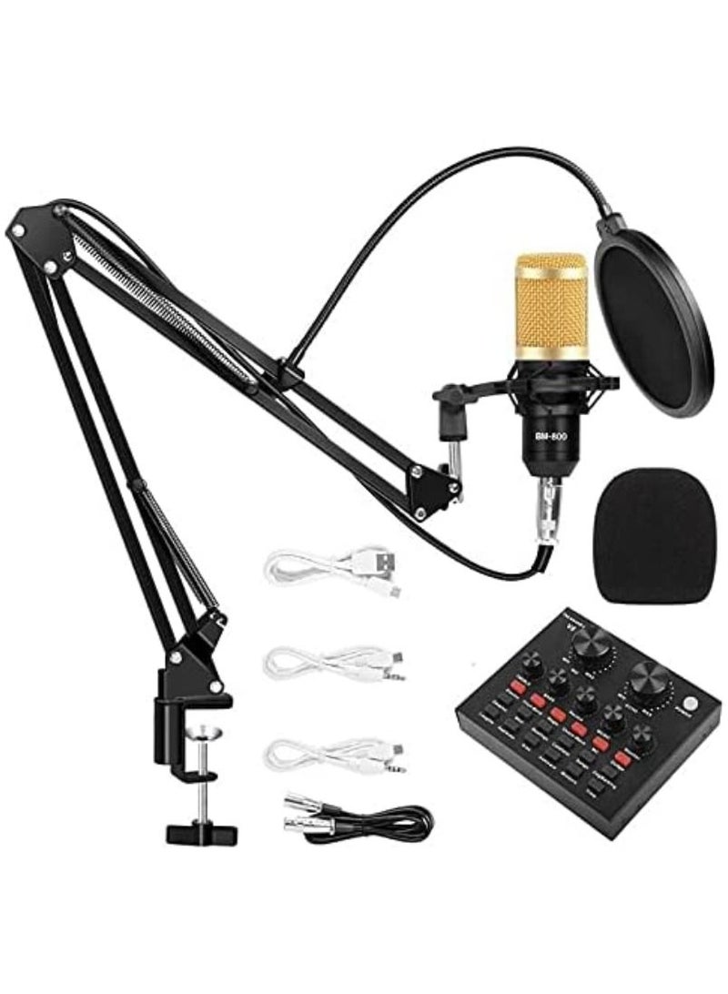 Multifunctional Live Sound Card Microphone Set Condenser Mic With Phantom power