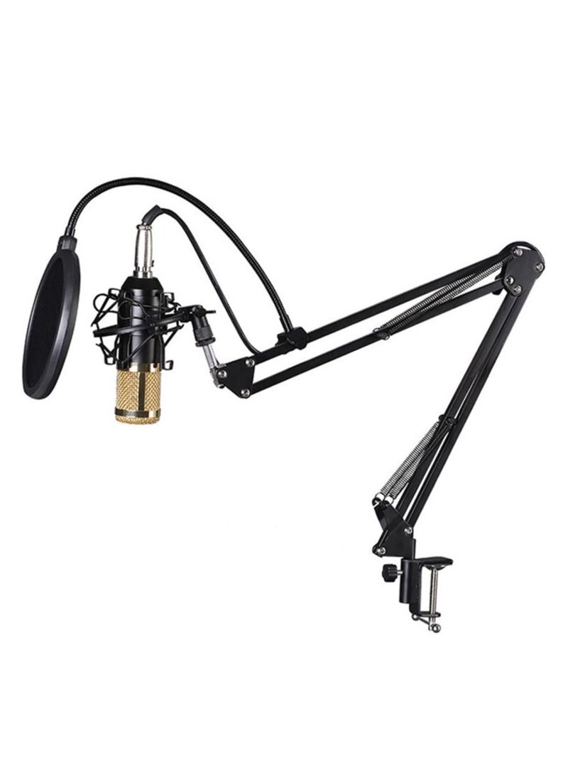 Multifunctional Live V9 Sound Card and BM800 Suspension Microphone Kit Broadcasting Condenser Microphone Set Intelligent Webcast Live Sound Card for Computers and Mobile