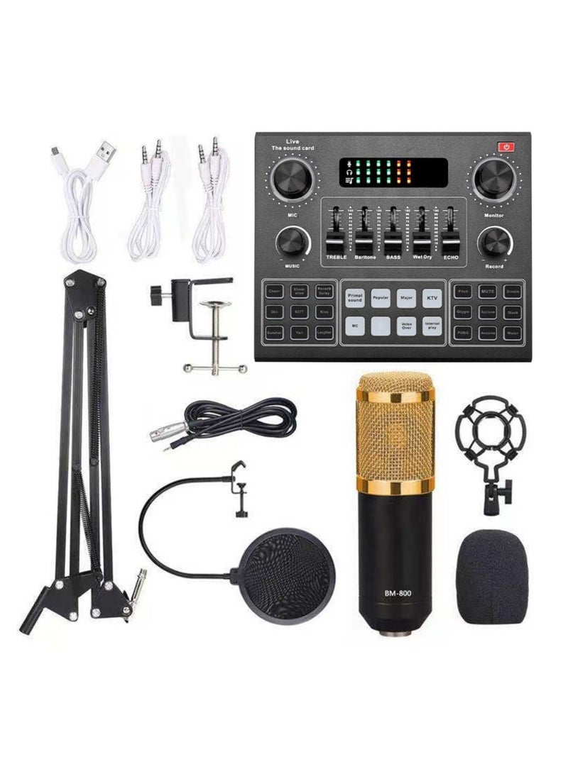 V9 Sound Card & BM800 Pro Microphone Condenser Microphone Capacitor Recording Microphone Audio Interface Studio Stereo Live Streaming Sound Card