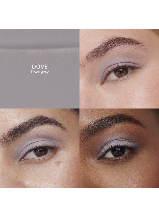 Liquid Powder Matte Eye Tint ; Non Toxic Vegan Cruelty Free Clean Makeup (Dove Dove Gray)