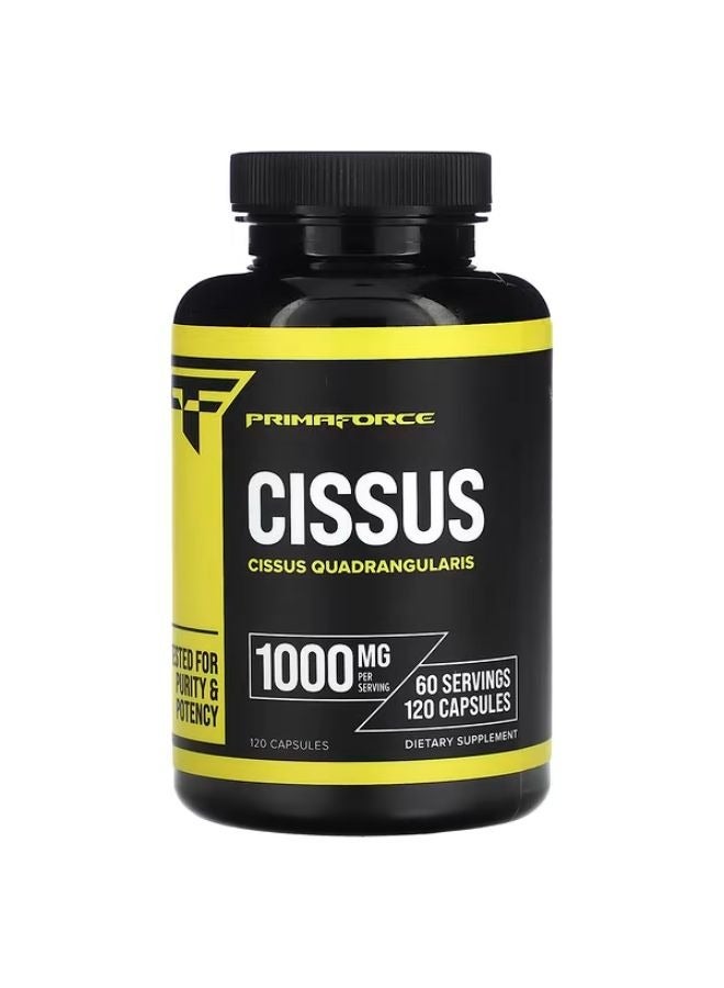Primaforce Cissus 500 mg 120 Capsules