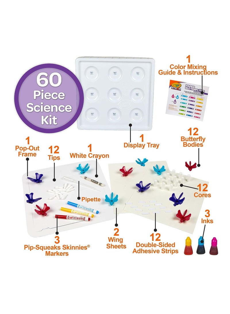 Paper Butterflies Science Kit