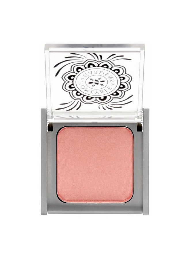 Longwearing Complexion Perfecting Blush In Rendezvous (Soft Neutral Warm Rose) Highly Pigmented Evens Skin Tone And Texture Vegan, Cruelty Free, Gluten Free, Net Wt. 8.5 G