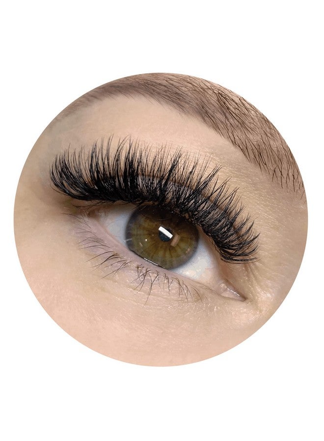 D Curl Premade Fans Lash Extensions Mix Size 8Mm17Mm Promade Volume Eyelash Extensions D Curl (5D)