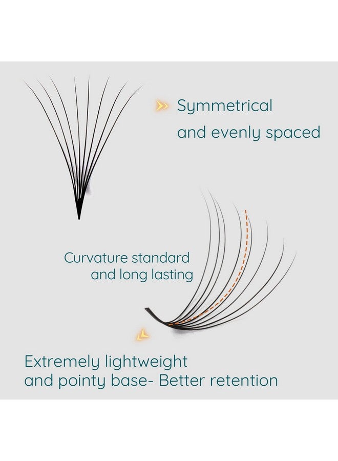 1000 Pcs Premade Fans Eyelash Extensions 3D 8D 815Mm Mixed 10 Length Premade Lash Fans Promade Fans Thin Base Pre Made Fans Lash Extensions Loose Fans Promades Eyelash Fans (8D 0.07 C 815 Mix)