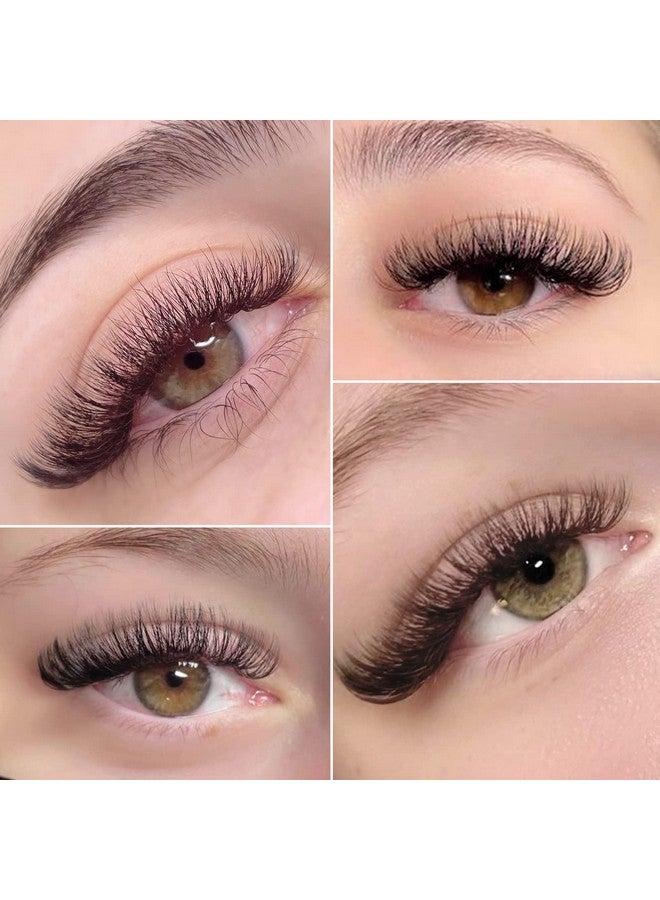 1000 Pcs Premade Fans Eyelash Extensions 3D 8D 815Mm Mixed 10 Length Premade Lash Fans Promade Fans Thin Base Pre Made Fans Lash Extensions Loose Fans Promades Eyelash Fans (8D 0.07 C 815 Mix)