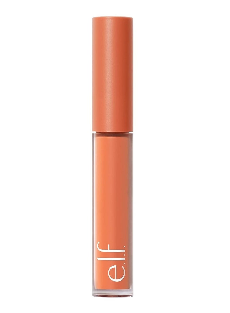 Camo Color Corrector Hydrating & Long Lasting Color Corrector For Camouflaging Discoloration Dullness & Redness Orange