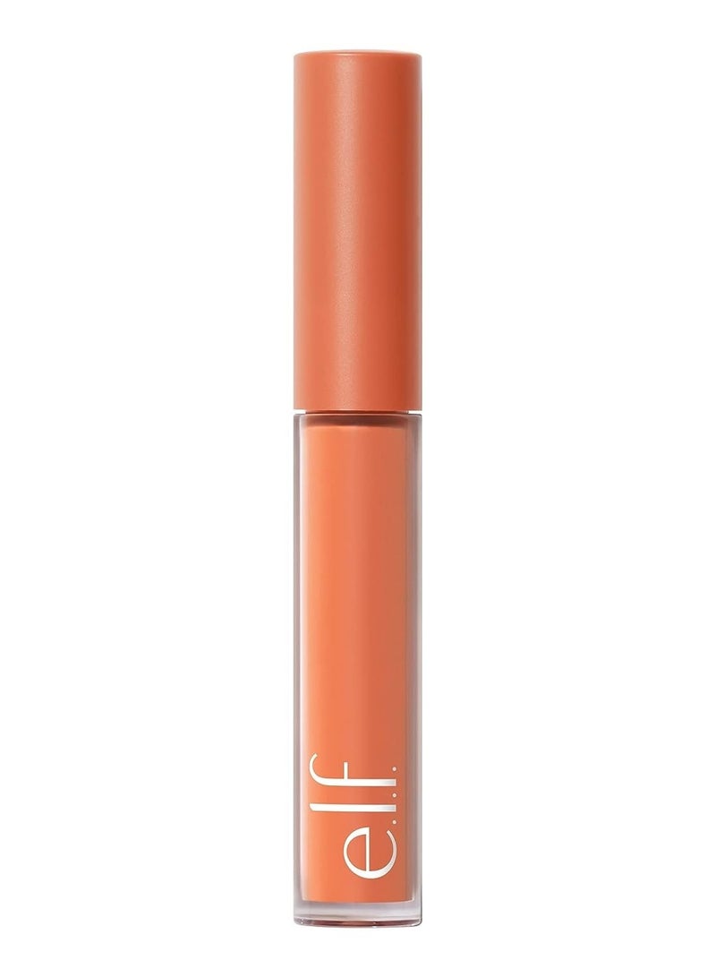 Camo Color Corrector Hydrating & Long Lasting Color Corrector For Camouflaging Discoloration Dullness & Redness Orange