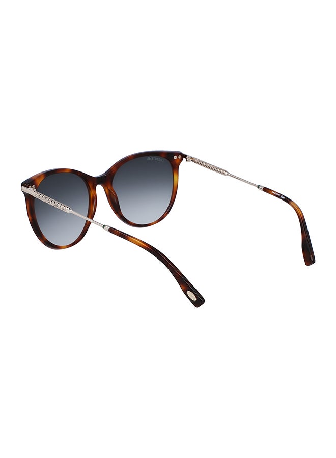 Women's Oval Sunglasses - L993S-214-5417 - Lens Size: 54 Mm