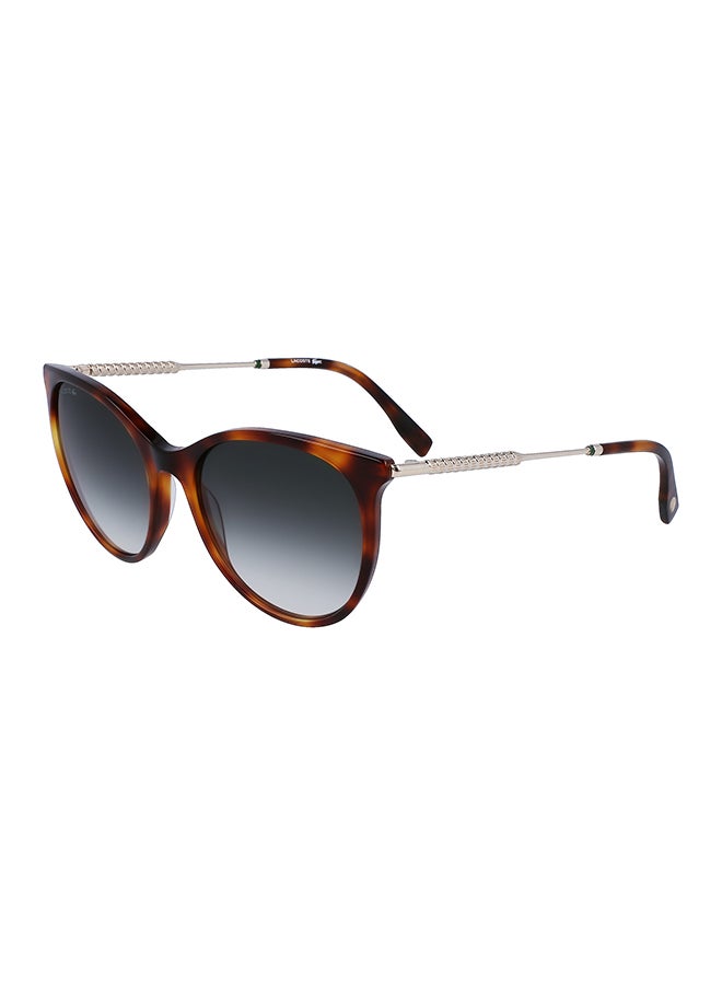 Women's Oval Sunglasses - L993S-214-5417 - Lens Size: 54 Mm