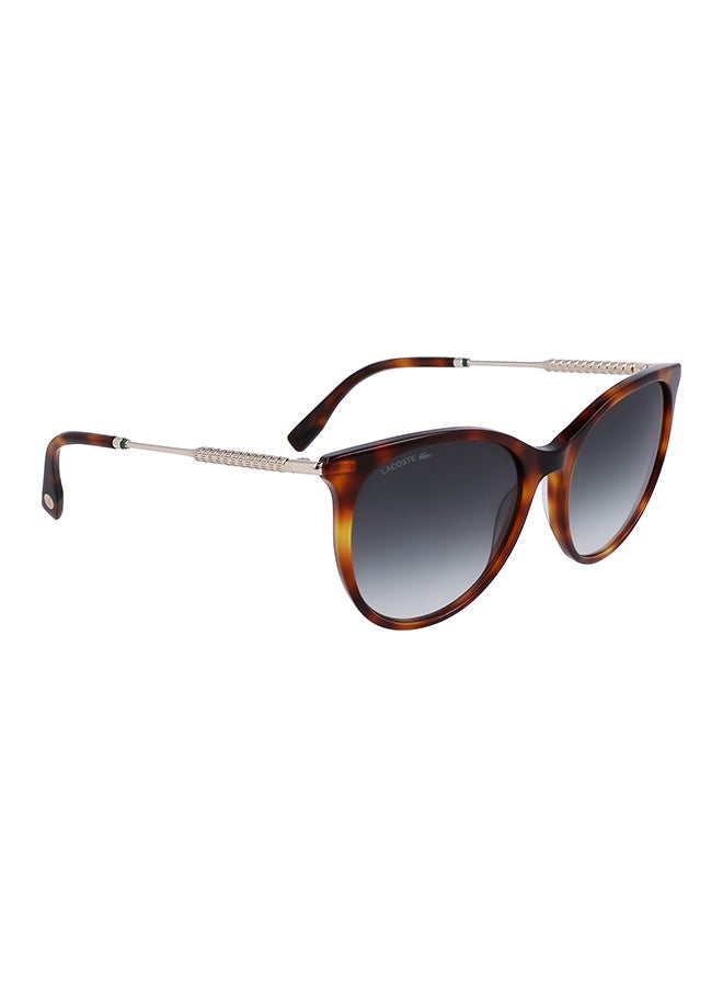 Women's Oval Sunglasses - L993S-214-5417 - Lens Size: 54 Mm