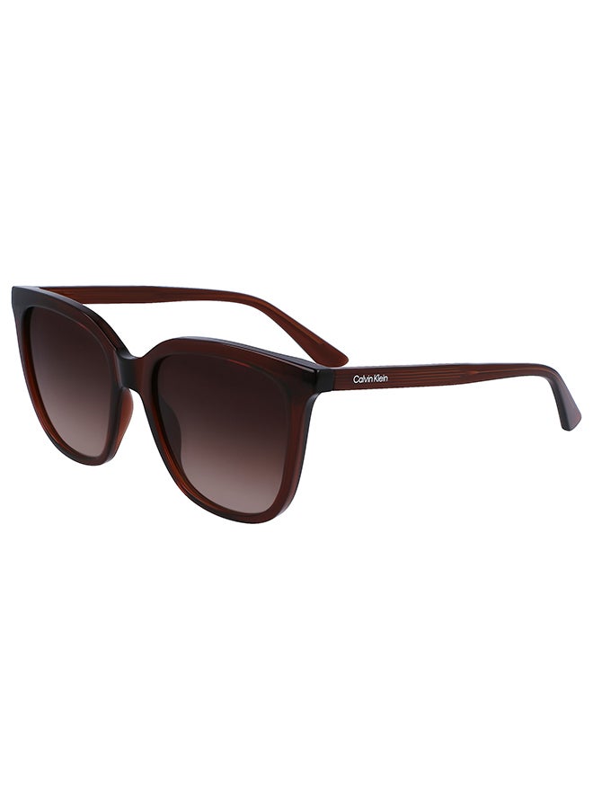Women's Rectangular Sunglasses - CK23506S-200-5318 - Lens Size: 53 Mm