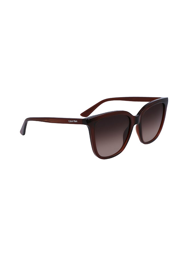 Women's Rectangular Sunglasses - CK23506S-200-5318 - Lens Size: 53 Mm