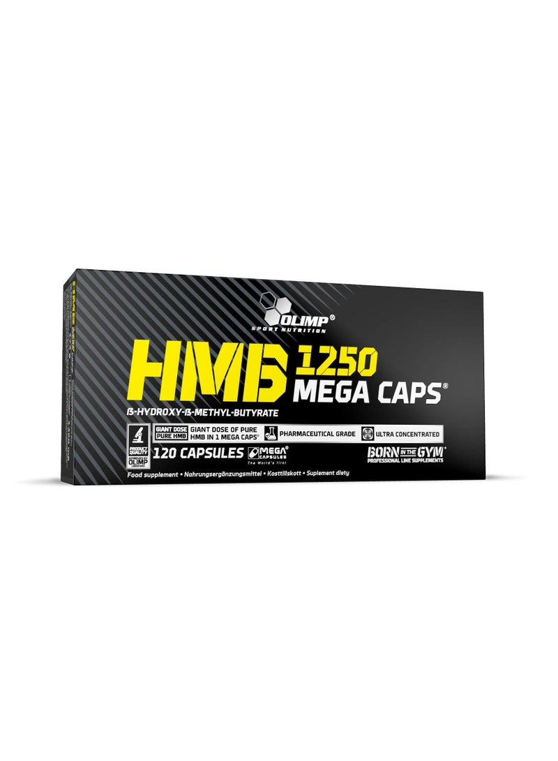 HMB 1250 Mega Caps, Pharmaceutical Grade, Ultra Concentrated, 120 Capsules