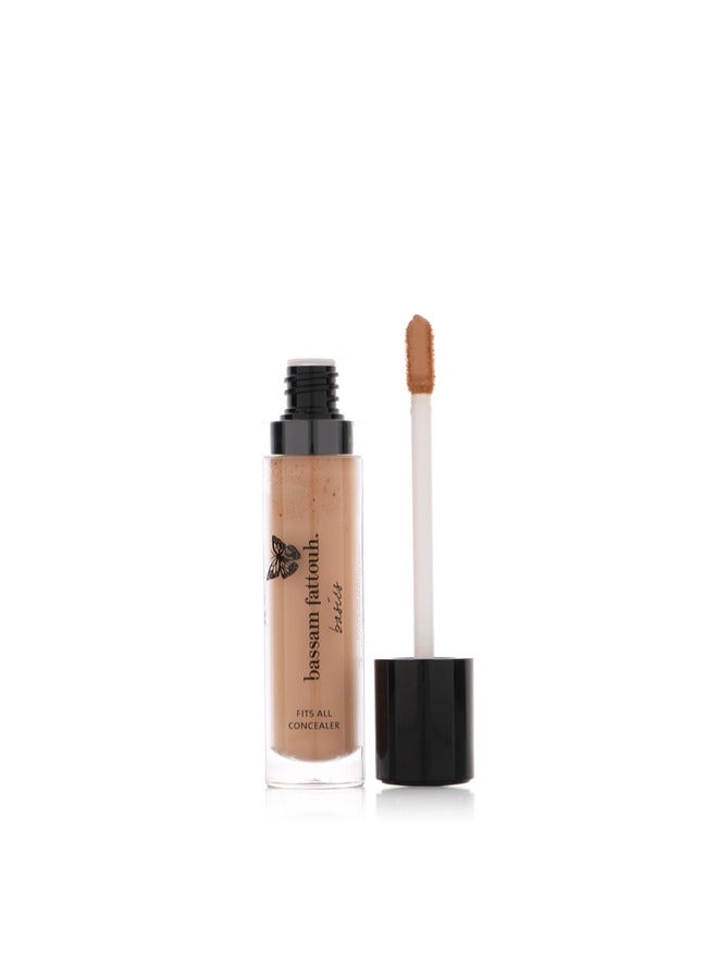 Concealer Fits All Light Medium