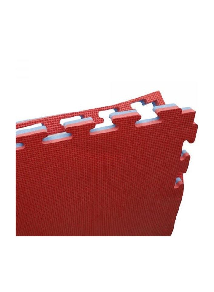 Teakwondo Mat 1m X 1m X 2 cm Red/Blue Gql-03-1