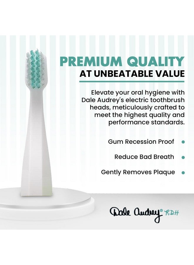 Ale Audrey Ayurvedic Quick Sonic Toothbrush Head Replacement For Adults ; Dailyclean Toothbrush ; (2 Count)