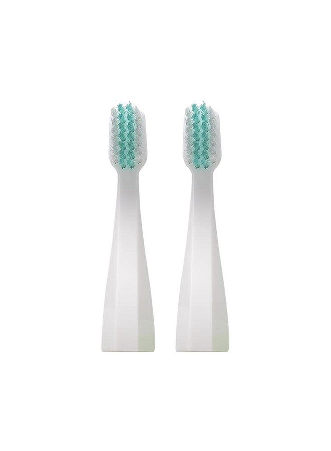 Ale Audrey Ayurvedic Quick Sonic Toothbrush Head Replacement For Adults ; Dailyclean Toothbrush ; (2 Count)