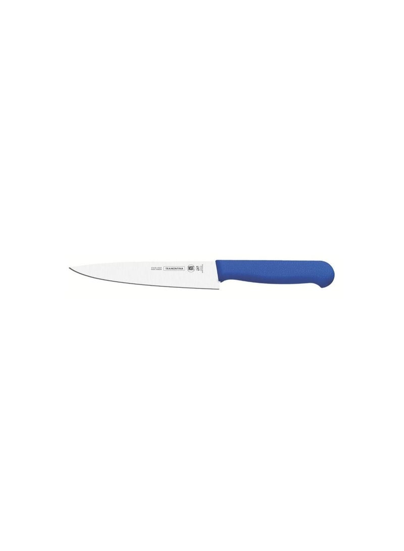 Professional 10 Inches Meat Knife with Stainless Steel Blade and Blue Polypropylene Handle with Antimicrobial Protection