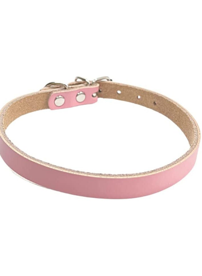 Classic Genuine Leather Dog Collar Soft Wide Heavy Duty Collars with Durable Metal Hardware D-Ring Dog Collar : leather