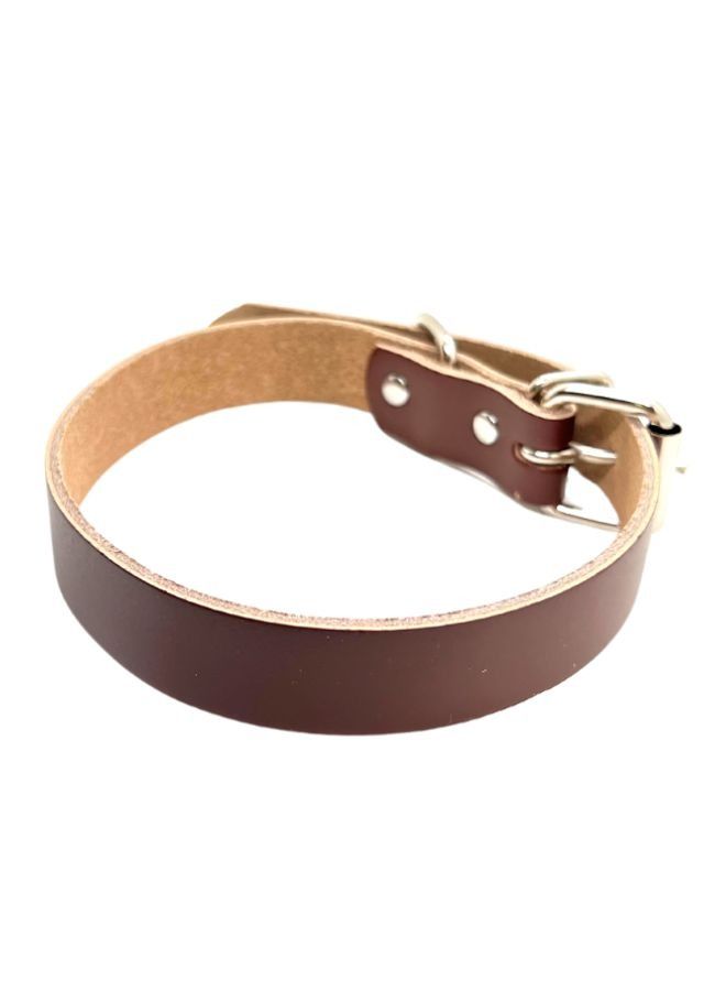 Classic Genuine Leather Dog Collar Soft Wide Heavy Duty Collars with Durable Metal Hardware D-Ring Dog Collar : Raw Leather
