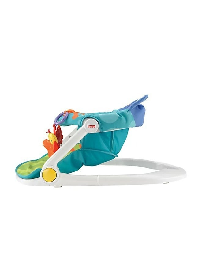 Sit-Me-Up Froggy Design Baby Foldable Floor Seat - Multicolour