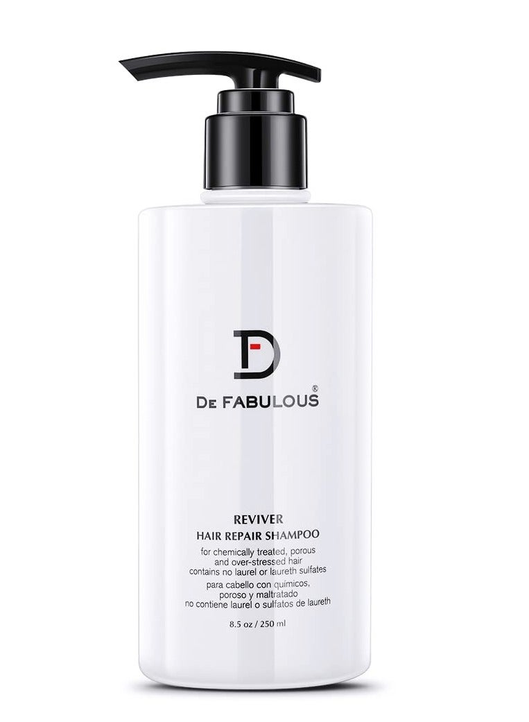 De Fabulous Reviver Shampoo 250ML