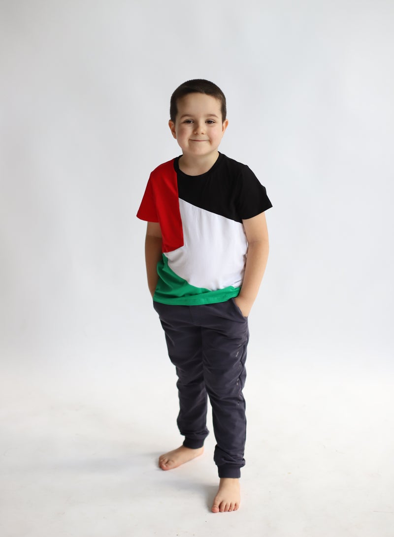 D'Daniela Palestine Flag Tshirt