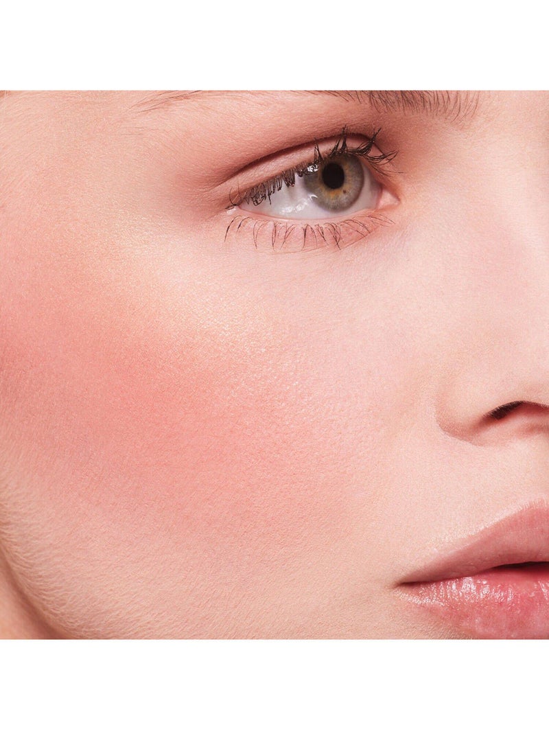 Stay Naked Threesome Blush, Bronzer, & Highlighter Palette Fly