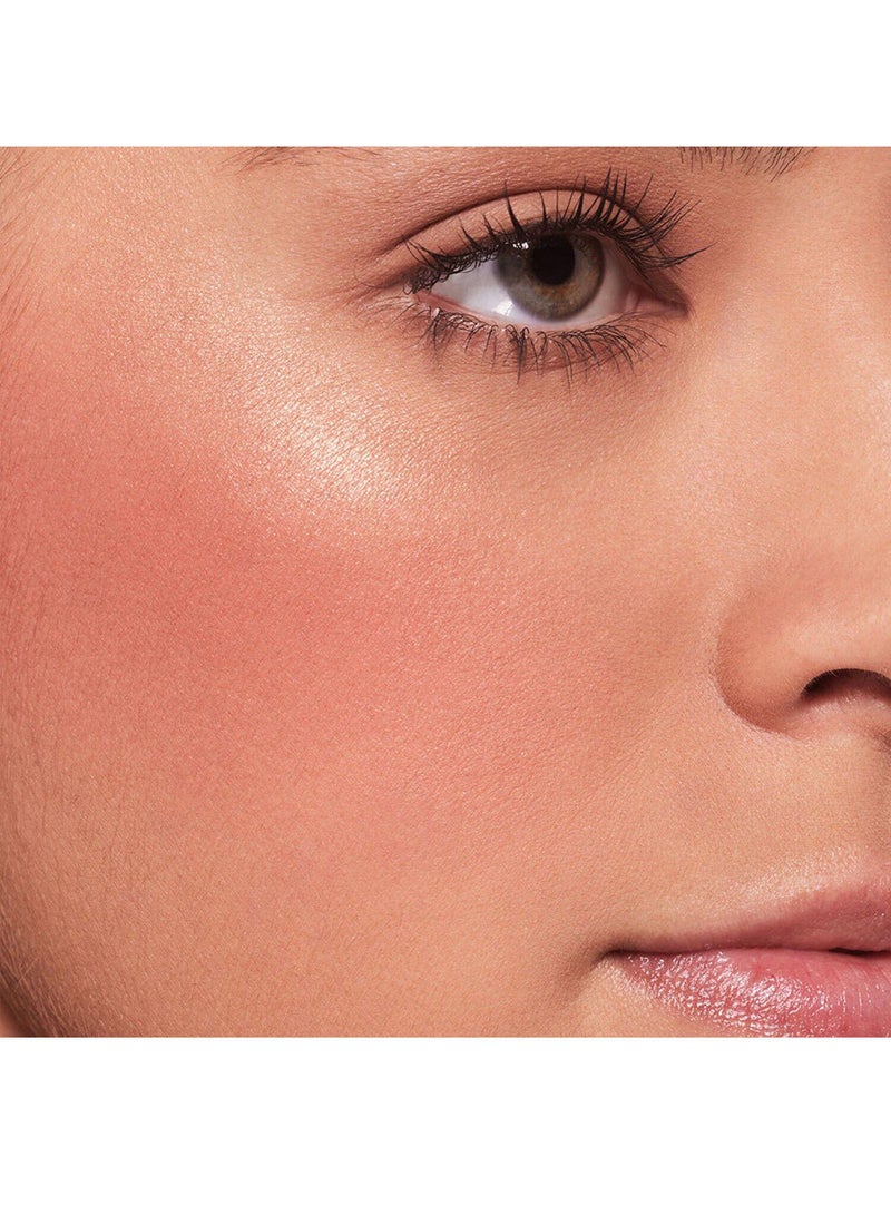 Stay Naked Threesome Blush, Bronzer, & Highlighter Palette Fly
