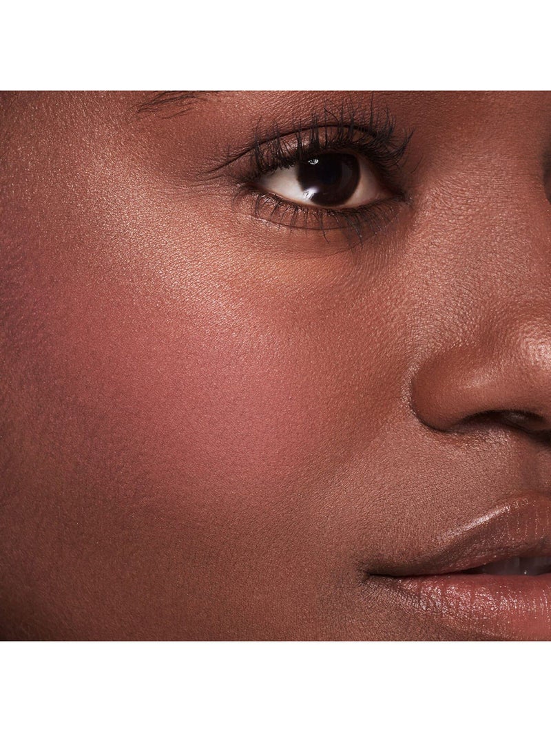 Stay Naked Threesome Blush, Bronzer, & Highlighter Palette Fly
