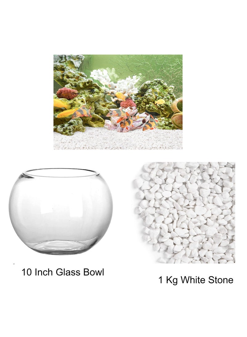 10 Inch Round Glass Bowl & 1Kg  White Decorative Pebbles Stones Aquarium Fish Tank Flower Vase Centerpiece Bubble Planter Terrarium Fish Bowl for Wedding Event Clear