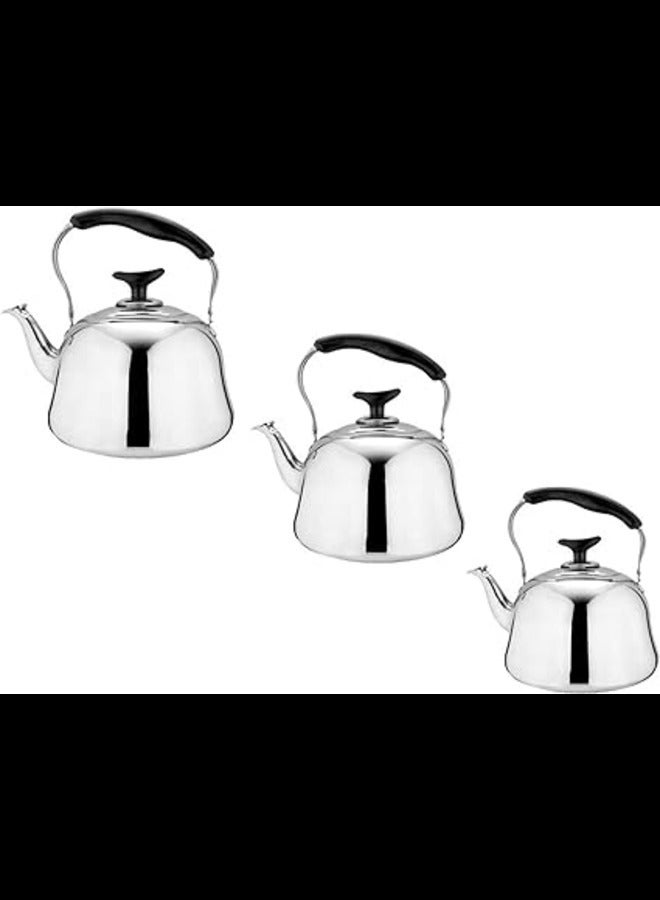 Dessini Stainless Steel Tea Kettle With Strainler 3L