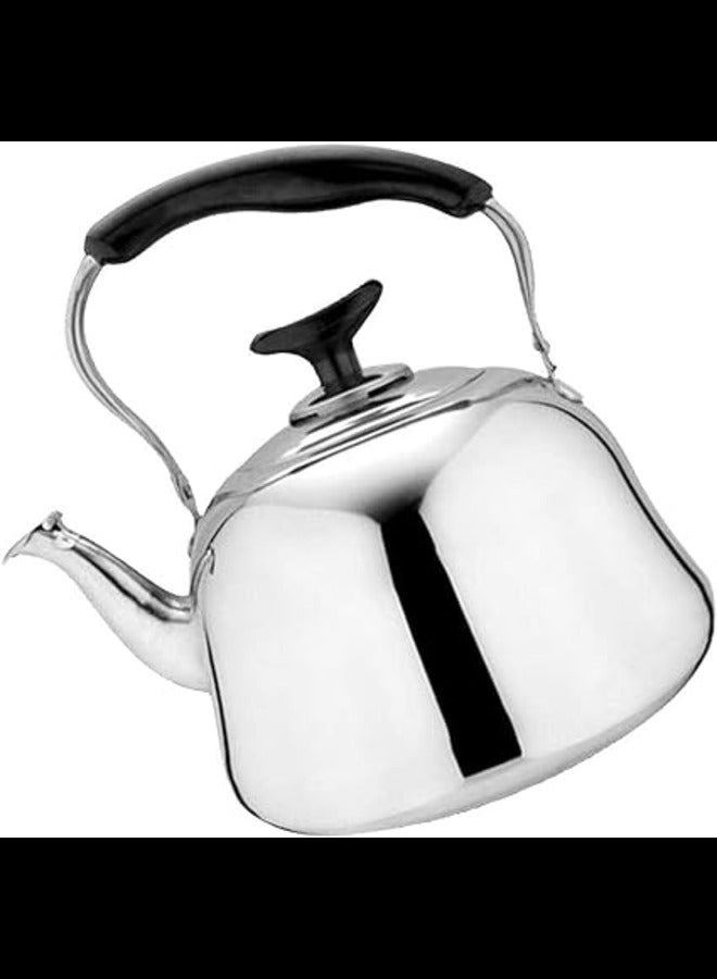 Dessini Stainless Steel Tea Kettle With Strainler 3L