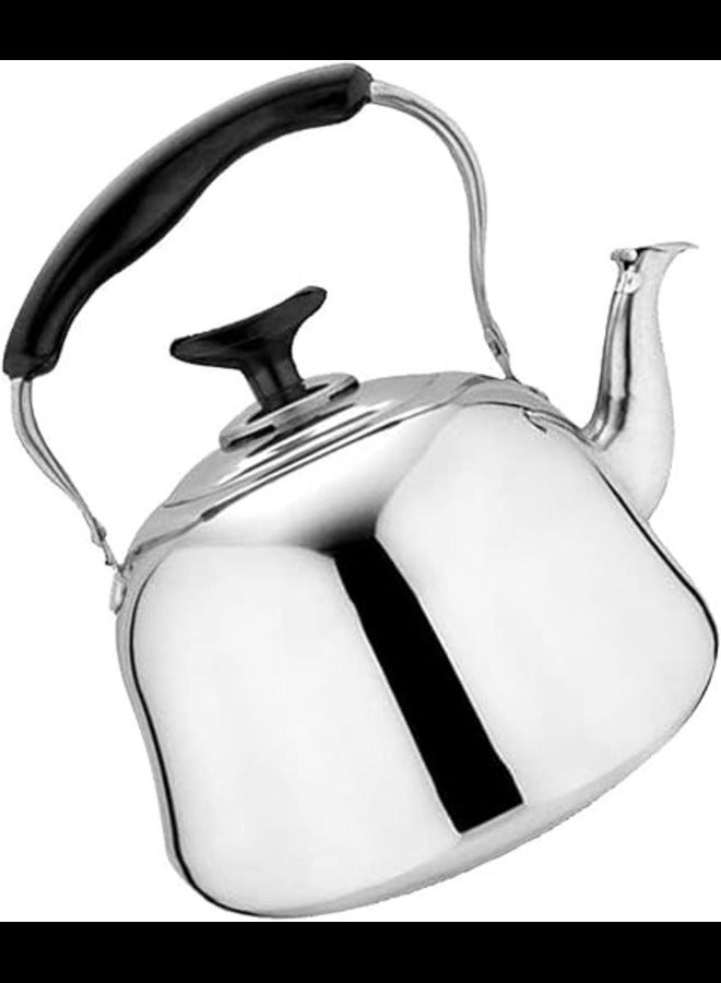 Dessini Stainless Steel Tea Kettle With Strainler 3L