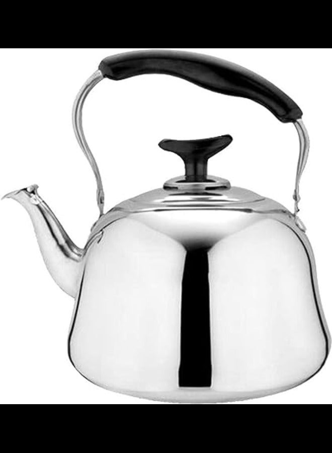 Dessini Stainless Steel Tea Kettle With Strainler 3L