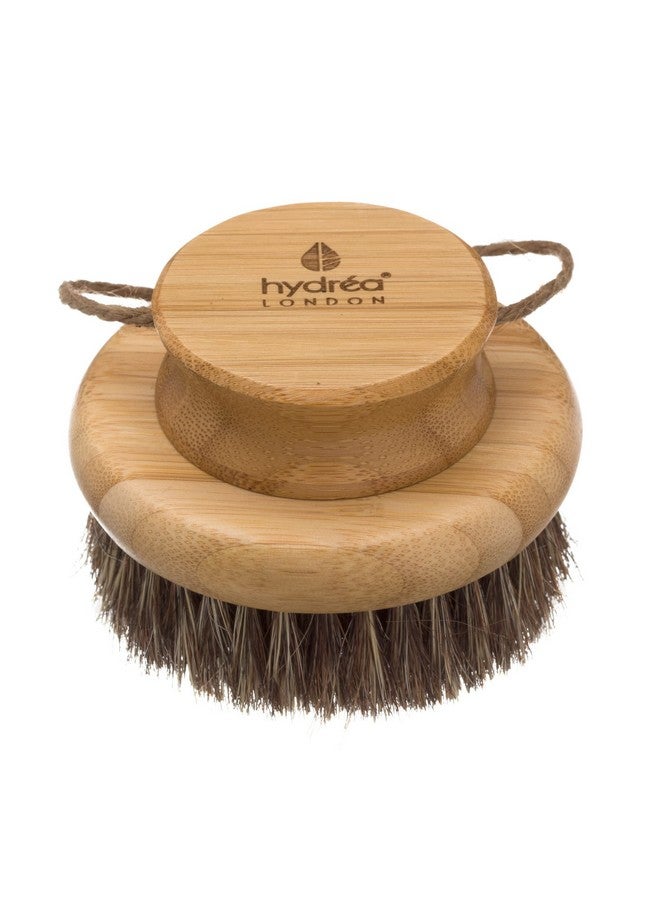 Hydréa London Round Natural Body Brush With Mane/Cactus Bristle For Dry Brushing To Exfoliate Remove Dead Skin Cellulite And Aid Lymphatic Drainage.