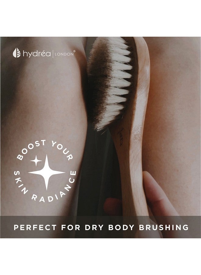 Dry Body Brush Short Handle Premium Exfoliating Dry Skin Brush With Natural Bristle Fsc® Certified Beechwood.
