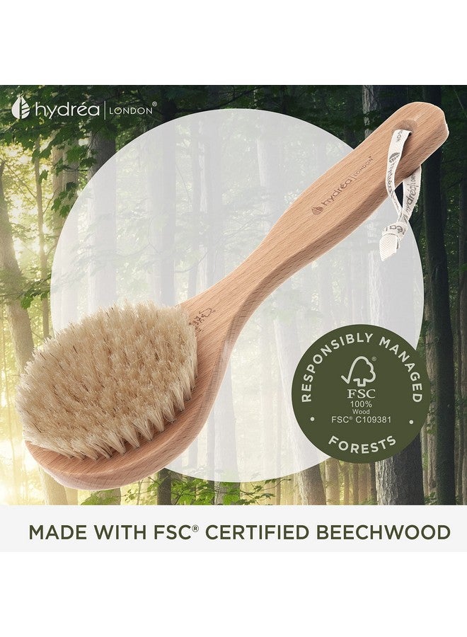 Dry Body Brush Short Handle Premium Exfoliating Dry Skin Brush With Natural Bristle Fsc® Certified Beechwood.