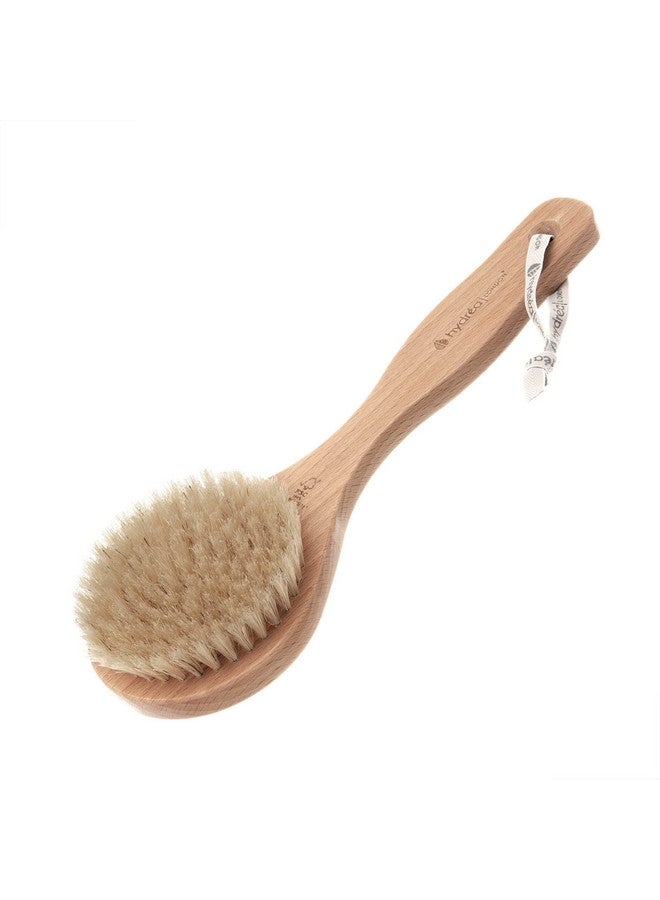 Dry Body Brush Short Handle Premium Exfoliating Dry Skin Brush With Natural Bristle Fsc® Certified Beechwood.