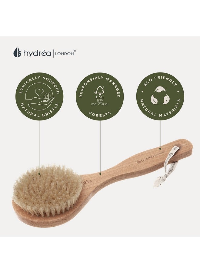 Dry Body Brush Short Handle Premium Exfoliating Dry Skin Brush With Natural Bristle Fsc® Certified Beechwood.
